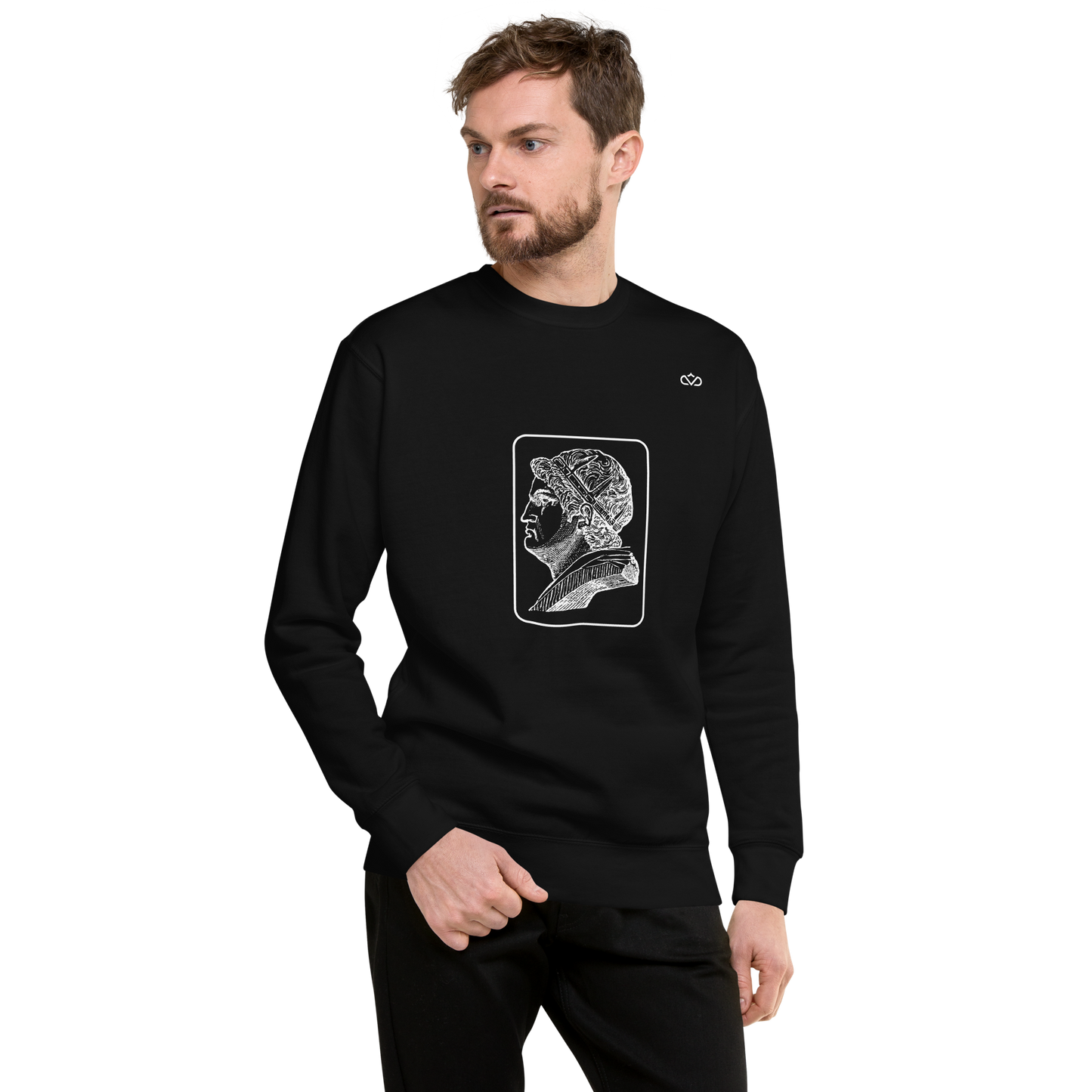 VIRTUS SOLA NOBILITAT SWEATER MAN 2