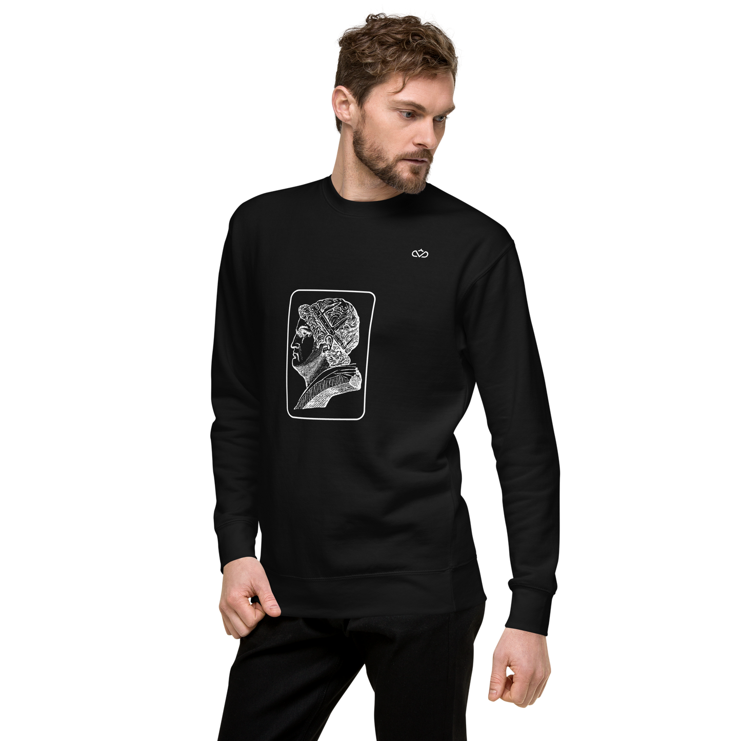 VIRTUS SOLA NOBILITAT SWEATER MAN 3