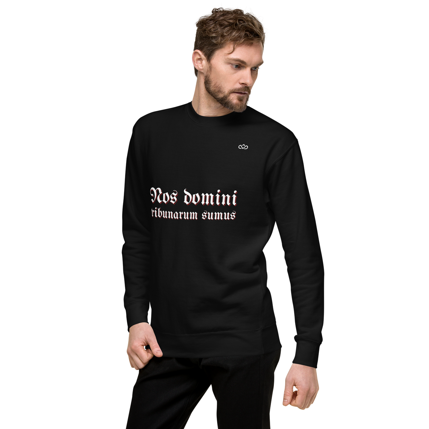 NOS DOMINI TRIBUNARUM SUMUS SWEATER MAN 3