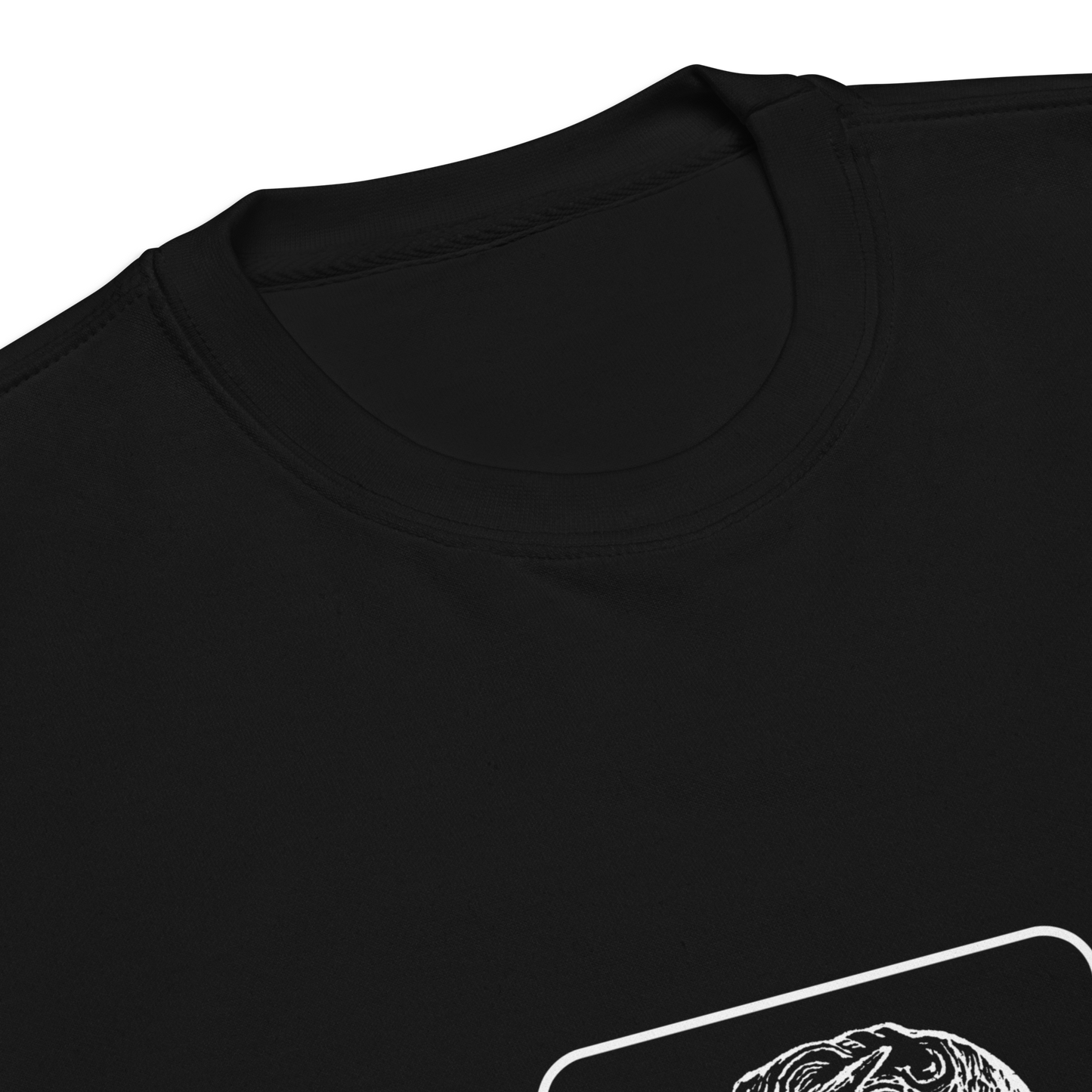VIRTUS SOLA NOBILITAT SWEATER CLOSE UP FRONT 2