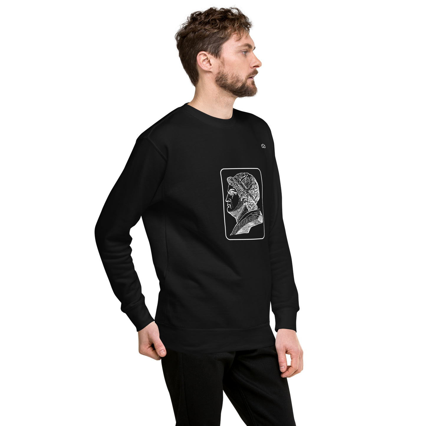 VIRTUS SOLA NOBILITAT SWEATER MAN 4