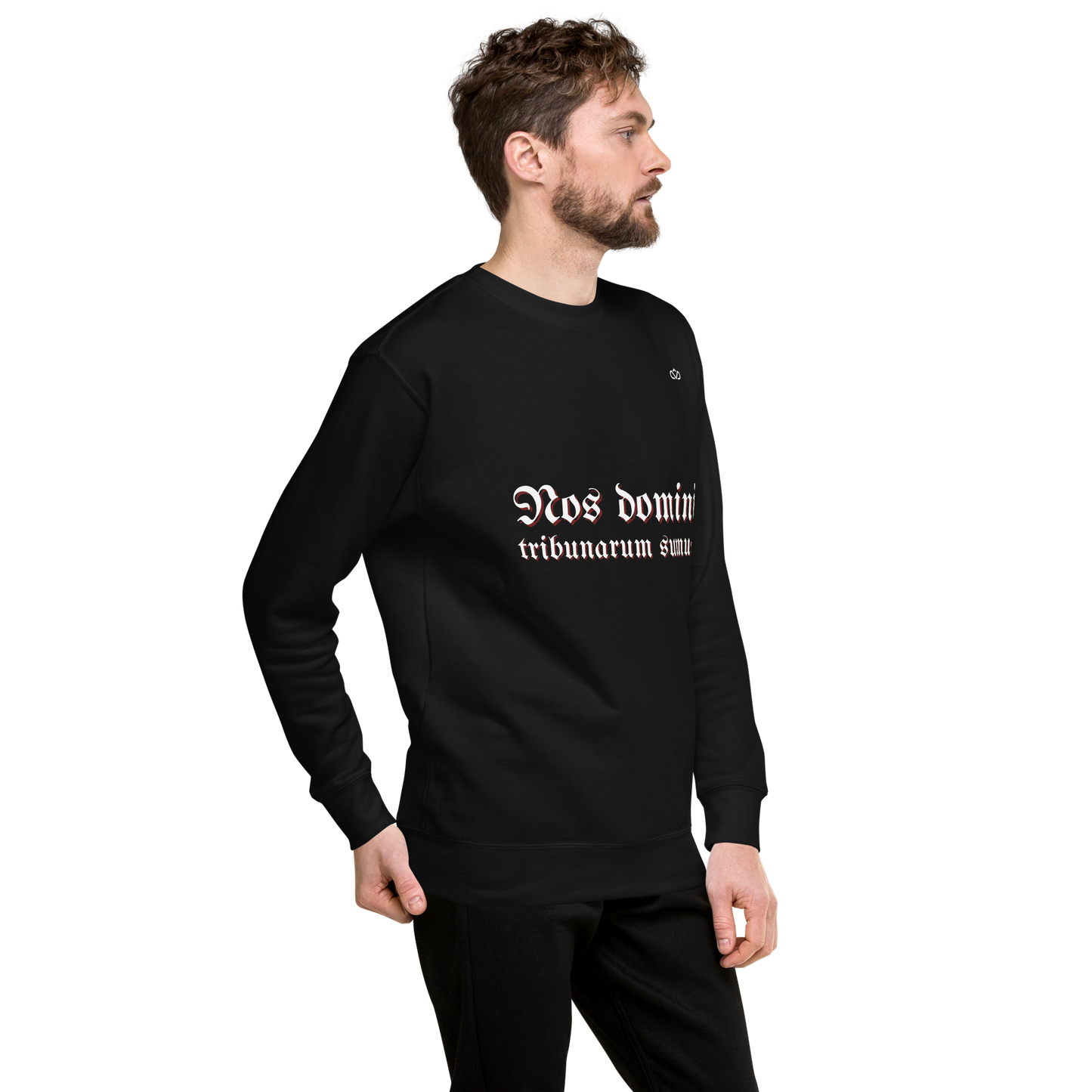 NOS DOMINI TRIBUNARUM SUMUS SWEATER MAN 4