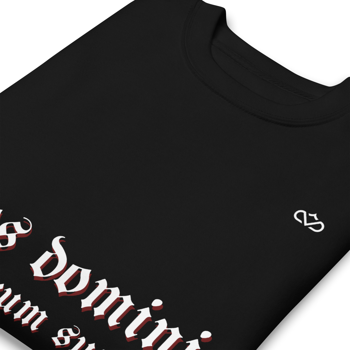 NOS DOMINI TRIBUNARUM SUMUS SWEATER CLOSE UP FRONT