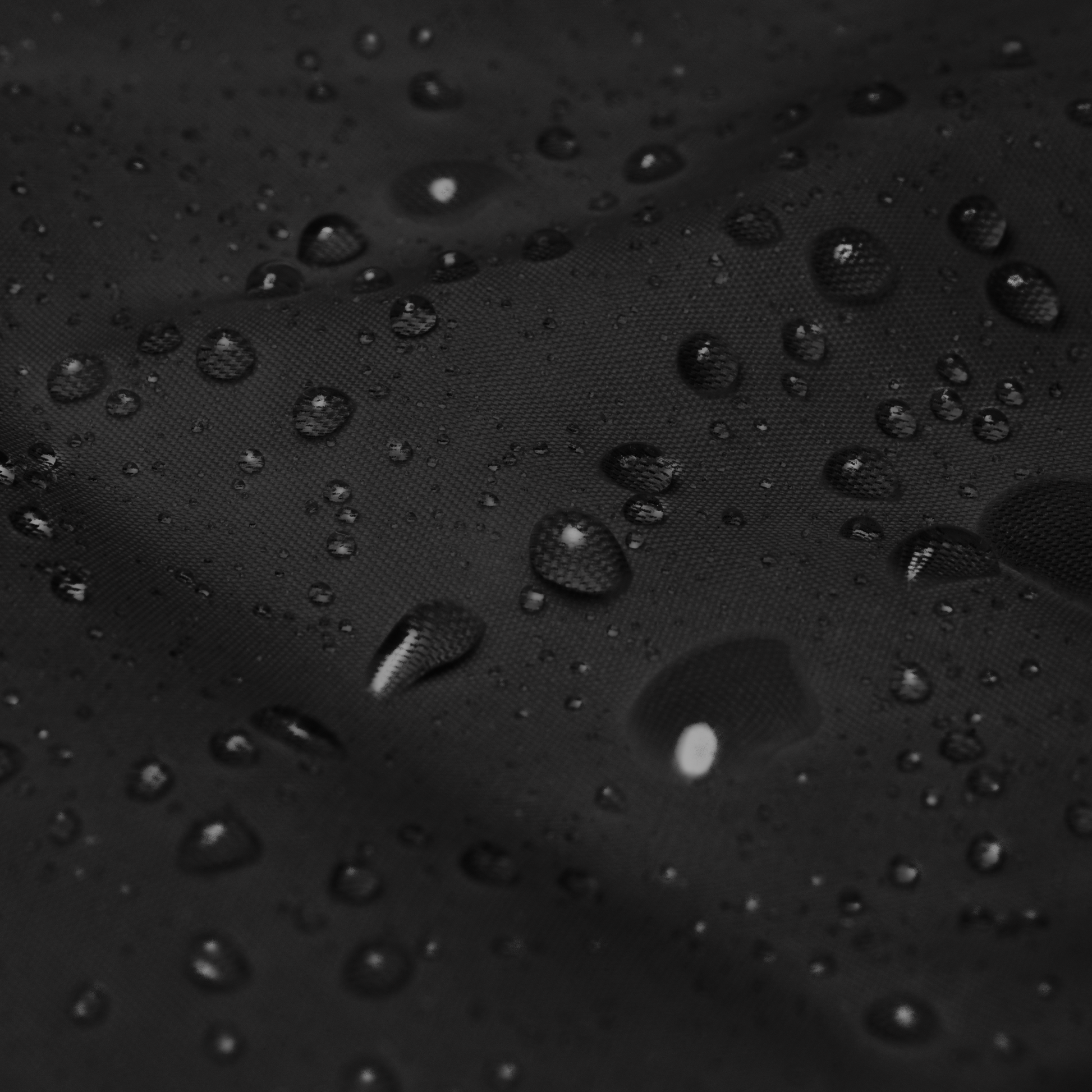 KING OF CHANGE ORIGINAL WINDBREAKER CLOSE UP