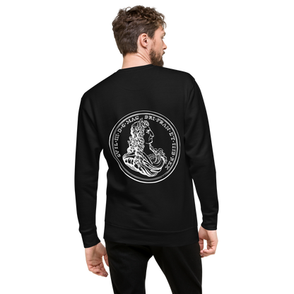 VIRTUS SOLA NOBILITAT SWEATER MAN 1
