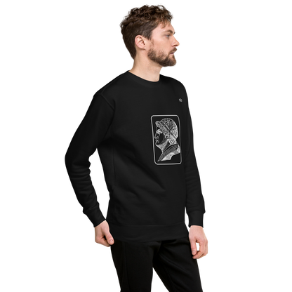 VIRTUS SOLA NOBILITAT SWEATER MAN 4