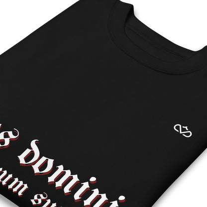 NOS DOMINI TRIBUNARUM SUMUS SWEATER CLOSE UP FRONT